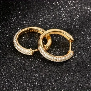 Sterling Silver /Gold Moissanite Hoop Earrings